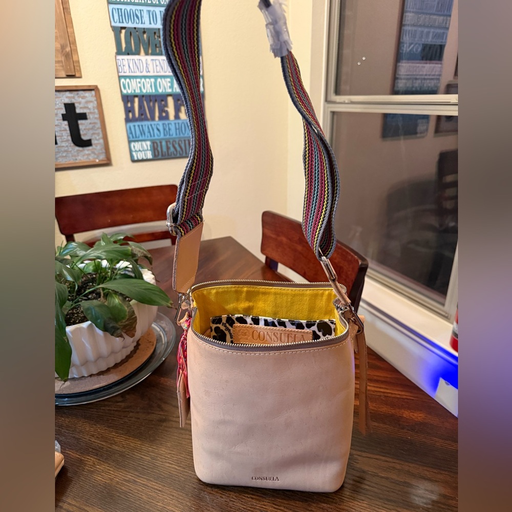 Consuela Diego Wedge Crossbody Bag with (2) straps - Picture 5 of 13